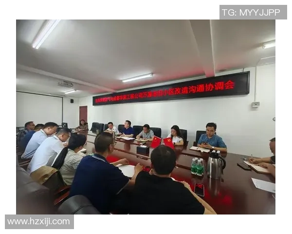 深入分析成都羽毛球队的运营策略与发展模式探讨