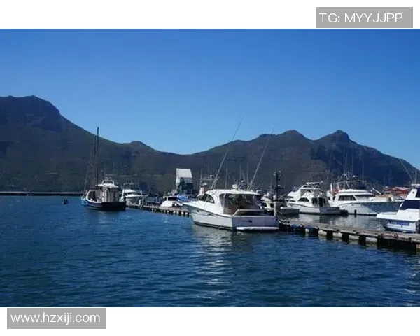 海豹过人足球的奇妙之旅探索海洋生物与运动的完美结合